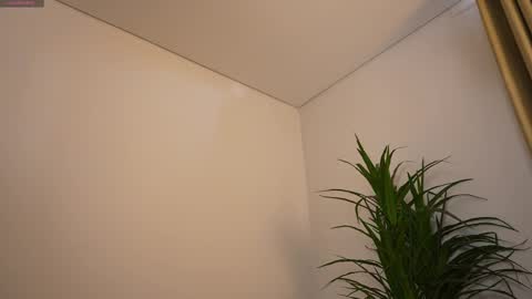 miss airi online show from 03/01/26, 03:03