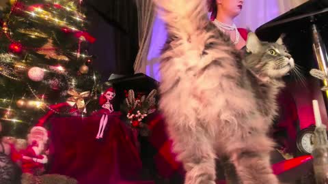 Snapshot of miss_asmodeus chatting on 12/24/24, 09:00 missAsmodeus online show from 12/24/24, 09:00