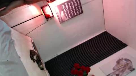 Snapshot of miss_bella69 chatting on 11/05/25, 12:10 miss_bella69 online show from 11/05/25, 12:10