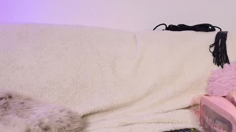 Snapshot of miss_sophia21 chatting on 02/18/26, 02:51 miss_sophia21 online show from 02/18/26, 02:51