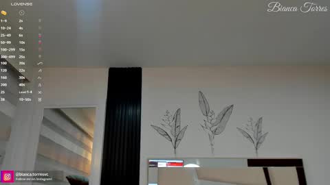 Bianca Torres online show from 02/14/25, 11:20