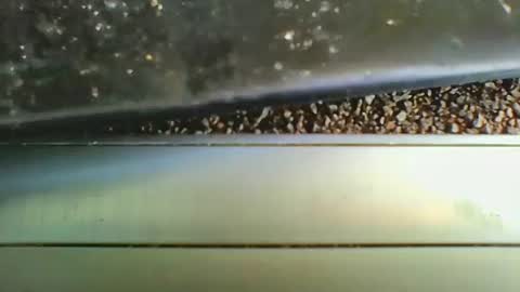 Snapshot of missdarkmatter69 chatting on 12/19/25, 08:49 missdarkmatter69 online show from 12/19/25, 08:49