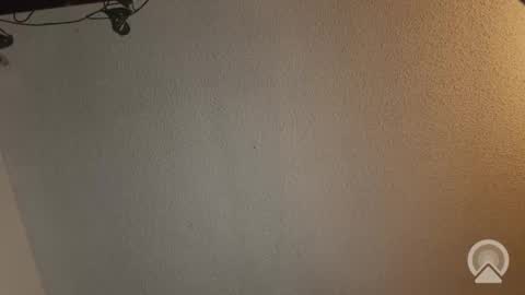 Devi online show from 11/21/25, 03:16