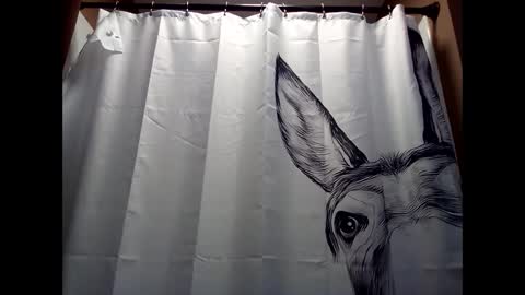 MissEeva online show from 12/05/24, 06:44