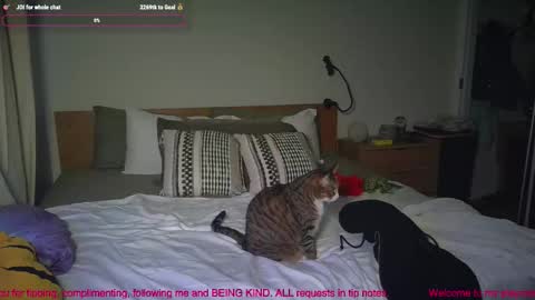 Snapshot of missemmbeex chatting on 03/02/26, 08:59 missemmbeex online show from 03/02/26, 08:59