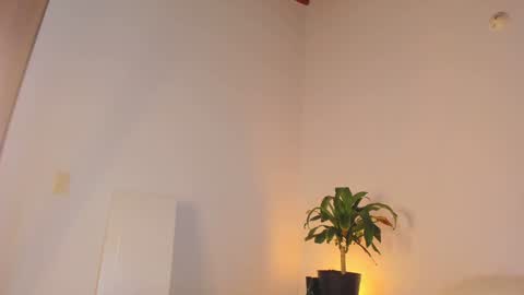 Snapshot of misspaulag chatting on 01/31/25, 04:03 misspaulag online show from 01/31/25, 04:03