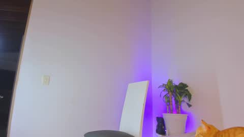 Snapshot of misspaulag chatting on 02/14/25, 12:41 misspaulag online show from 02/14/25, 12:41