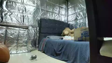 SCARLETH online show from 11/24/25, 02:55