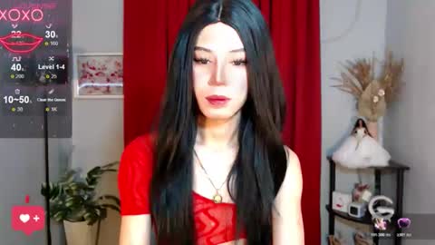 Stella online show from 11/17/25, 07:36