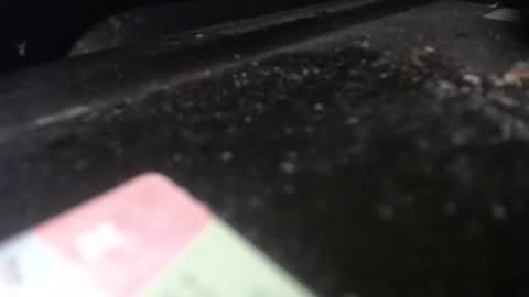 Snapshot of missy_fit chatting on 04/20/26, 12:30 Calipso online show from 04/20/26, 12:30