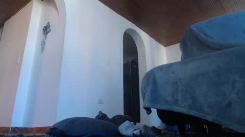 Snapshot of mistersam33 chatting on 02/10/25, 01:44 mistersam33 online show from 02/10/25, 01:44