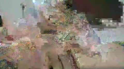 mr Tattoo XXL online show from 05/04/26, 03:08