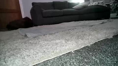 Snapshot of misterycouple12 chatting on 12/23/24, 12:25 misterycouple12 online show from 12/23/24, 12:25