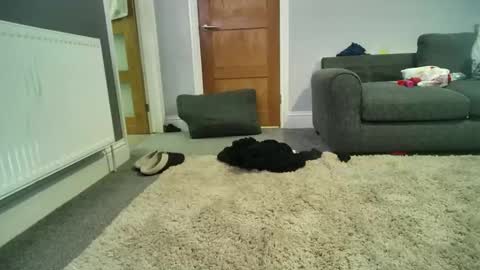 Snapshot of misterycouple12 chatting on 12/27/24, 04:04 misterycouple12 online show from 12/27/24, 04:04