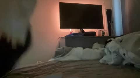 mitchellw7752 online show from 12/31/24, 12:57