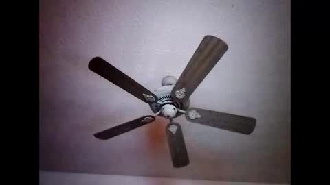 Snapshot of mitchnails69 chatting on 12/15/24, 07:24 BobbyMitchGa online show from 12/15/24, 07:24