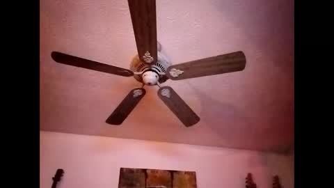 Snapshot of mitchnails69 chatting on 12/30/24, 10:21 BobbyMitchGa online show from 12/30/24, 10:21