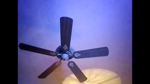 Snapshot of mitchnails69 chatting on 01/20/25, 05:59 BobbyMitchGa online show from 01/20/25, 05:59