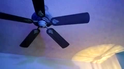 Snapshot of mitchnails69 chatting on 02/10/25, 07:04 BobbyMitchGa online show from 02/10/25, 07:04