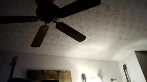 Snapshot of mitchnails69 chatting on 09/20/25, 10:27 BobbyMitchGa online show from 09/20/25, 10:27