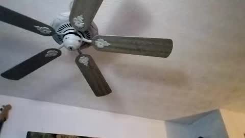 Snapshot of mitchnails69 chatting on 09/27/25, 12:10 BobbyMitchGa online show from 09/27/25, 12:10