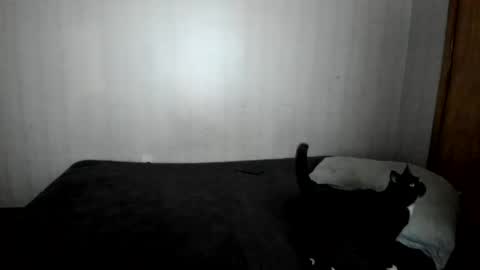 Snapshot of mizzkittay chatting on 02/26/25, 12:03 MizzKittay online show from 02/26/25, 12:03