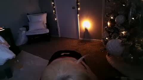 Angel online show from 12/11/24, 11:30