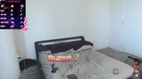 NynaStax online show from 12/08/24, 07:00