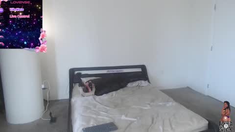 NynaStax online show from 12/29/24, 05:12