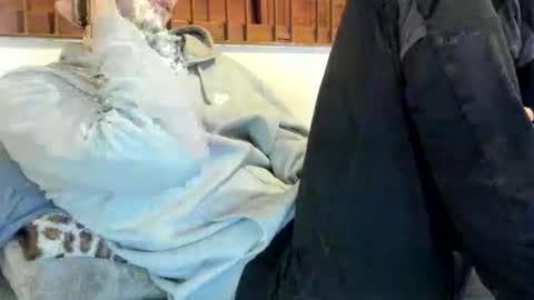 DigBreed online show from 11/09/25, 12:31