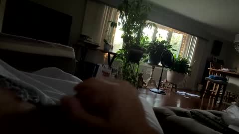 moethecheater7 online show from 10/02/25, 10:28