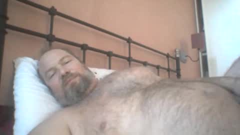 Snapshot of mofu781s chatting on 12/11/24, 08:26 mofu781s online show from 12/11/24, 08:26