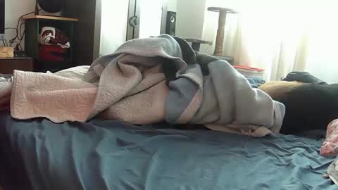 Snapshot of mojoe420 chatting on 11/29/25, 04:43 mojoe420 online show from 11/29/25, 04:43