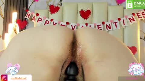 Snapshot of molliebue1 chatting on 02/14/25, 03:15 Hey Guys  Im Mollie online show from 02/14/25, 03:15