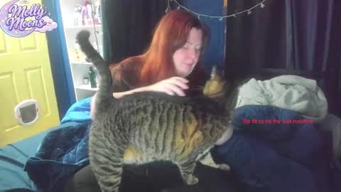 Snapshot of molly_moons chatting on 01/17/26, 05:27 molly_moons online show from 01/17/26, 05:27