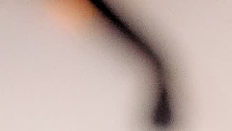 Molly Evanss online show from 01/23/25, 07:32