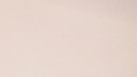 Molly Evanss online show from 01/28/25, 08:04