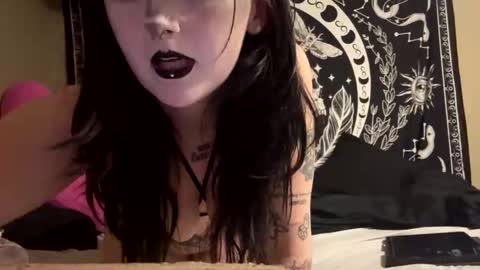 Snapshot of mollypawg1 chatting on 04/27/26, 12:19 molly online show from 04/27/26, 12:19