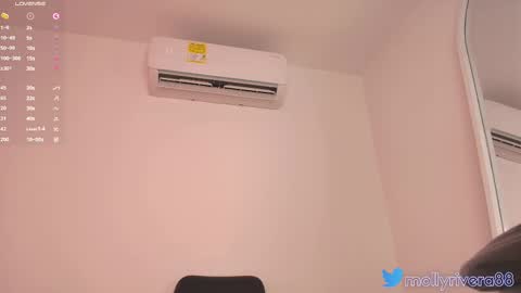 Snapshot of mollyrivera chatting on 03/12/25, 08:31 Molly online show from 03/12/25, 08:31