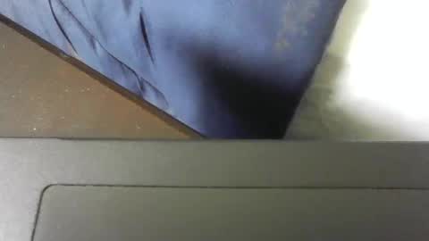 moneyboysaveg548 online show from 11/13/25, 04:06