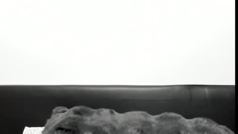 monicacure online show from 10/27/25, 03:16