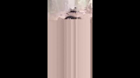 shirybeb online show from 01/08/26, 12:29