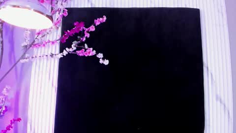 Snapshot of monik_fox_cr chatting on 11/17/25, 07:41 MONIK FOX online show from 11/17/25, 07:41