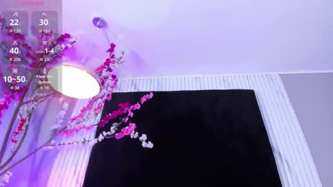 Snapshot of monik_fox_cr chatting on 12/02/25, 08:37 MONIK FOX online show from 12/02/25, 08:37