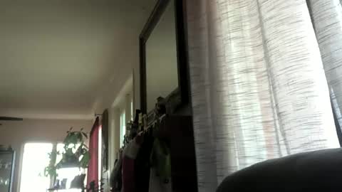 Snapshot of monkeedance chatting on 12/23/24, 10:01 Monkee Dance online show from 12/23/24, 10:01