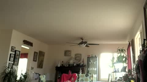 Snapshot of monkeedance chatting on 01/01/25, 07:43 Monkee Dance online show from 01/01/25, 07:43