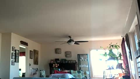 Snapshot of monkeedance chatting on 01/28/25, 05:35 Monkee Dance online show from 01/28/25, 05:35