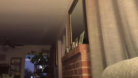 Snapshot of monkeedance chatting on 02/22/25, 02:17 Monkee Dance online show from 02/22/25, 02:17