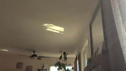 Snapshot of monkeedance chatting on 11/18/25, 09:19 Monkee Dance online show from 11/18/25, 09:19