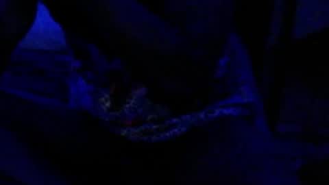 Snapshot of montydxxx2 chatting on 12/17/25, 04:35 montydxxx2 online show from 12/17/25, 04:35